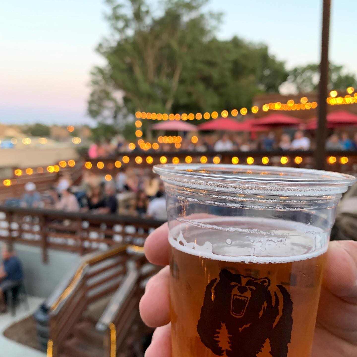 Plastic Bar Cups Bars & Brewery Cups Free Shipping